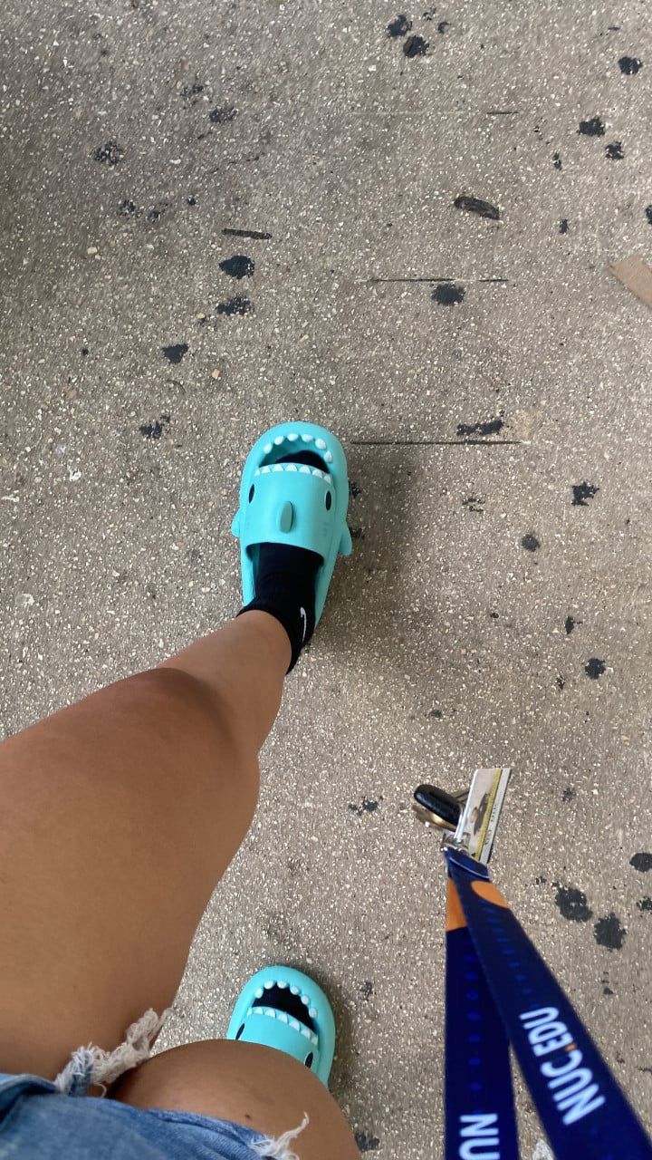 SharkBite™ Originals Shark Slides
